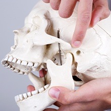Model of skull and jawbone demonstrating occlusal adjustment process