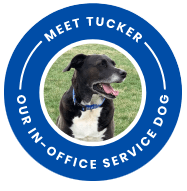 Dental office service dog Tucker